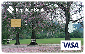 Visa Classic